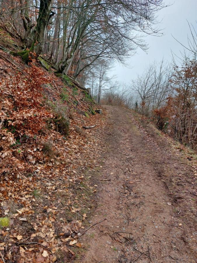 Unterm Rappenfels * Hinterweidenthal