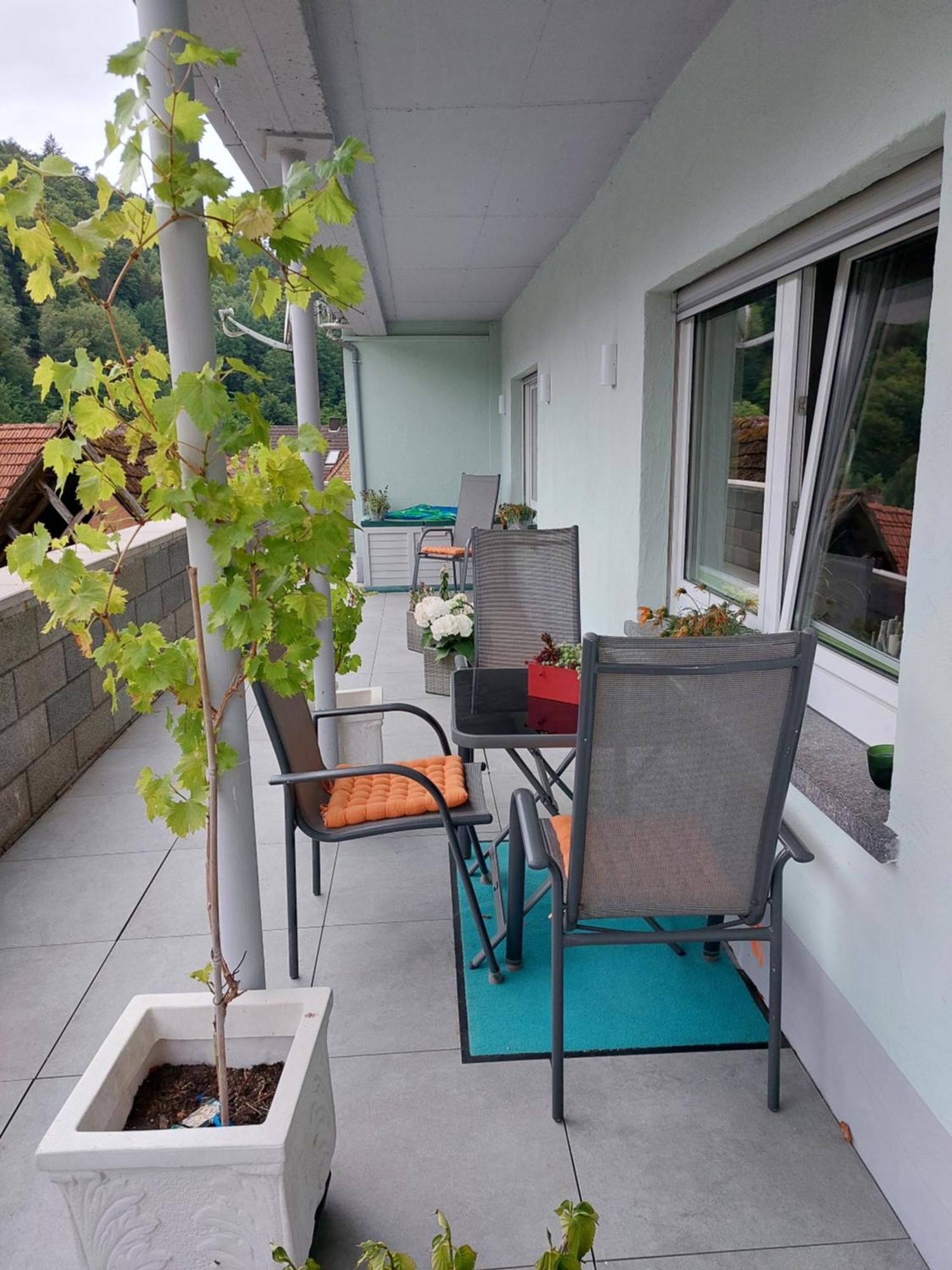 Apartment Unterm Rappenfels